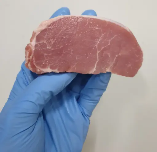 [2047] PORK MEDALLIONS