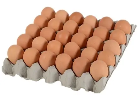 [6002.3] EGGS 600GR (15 DOZEN/BOX)